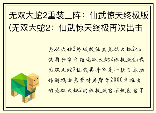 无双大蛇2重装上阵：仙武惊天终极版(无双大蛇2：仙武惊天终极再次出击)